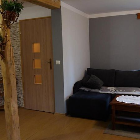 Apartamenty Lucky-Ski Ustrzyki Dolne Luaran gambar