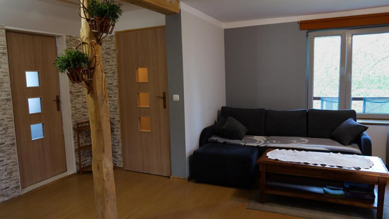 Apartamenty Lucky-Ski Ustrzyki Dolne Luaran gambar